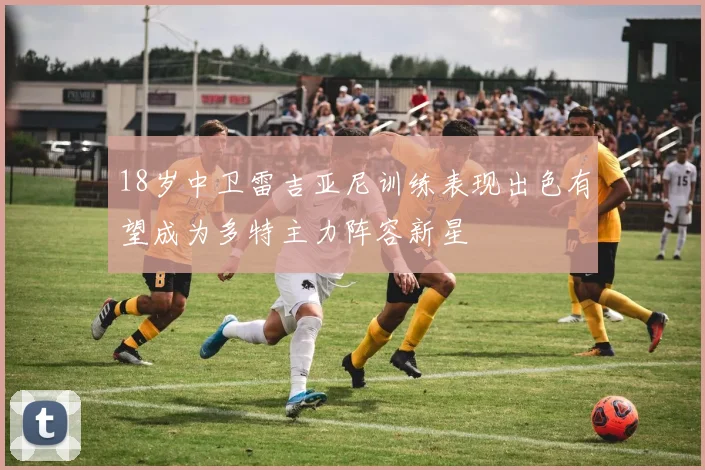 18岁中卫雷吉亚尼训练表现出色有望成为多特主力阵容新星