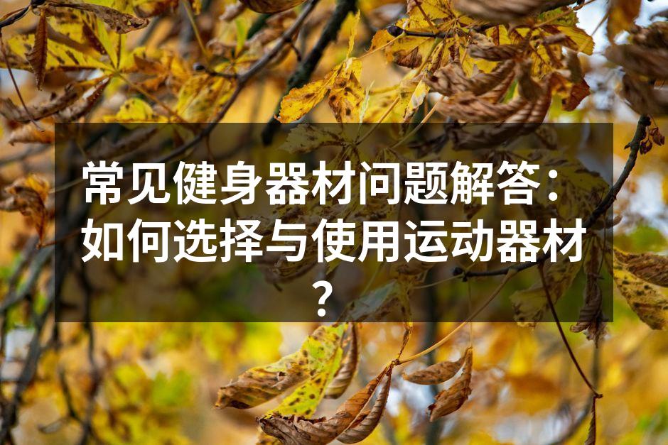 多种健身器材选择