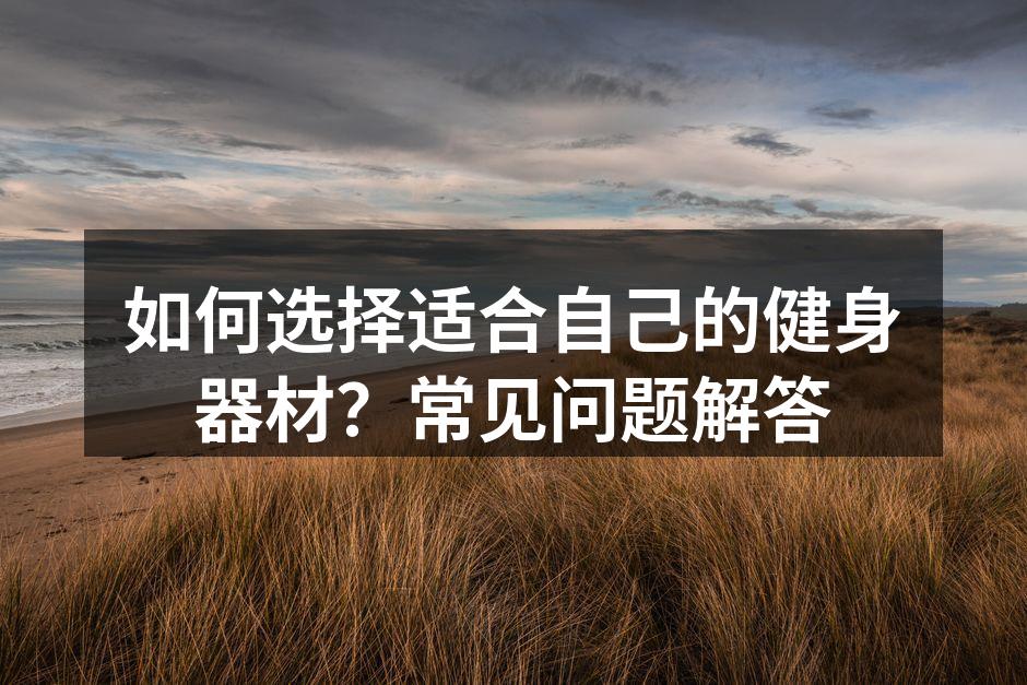 多种健身器材展示